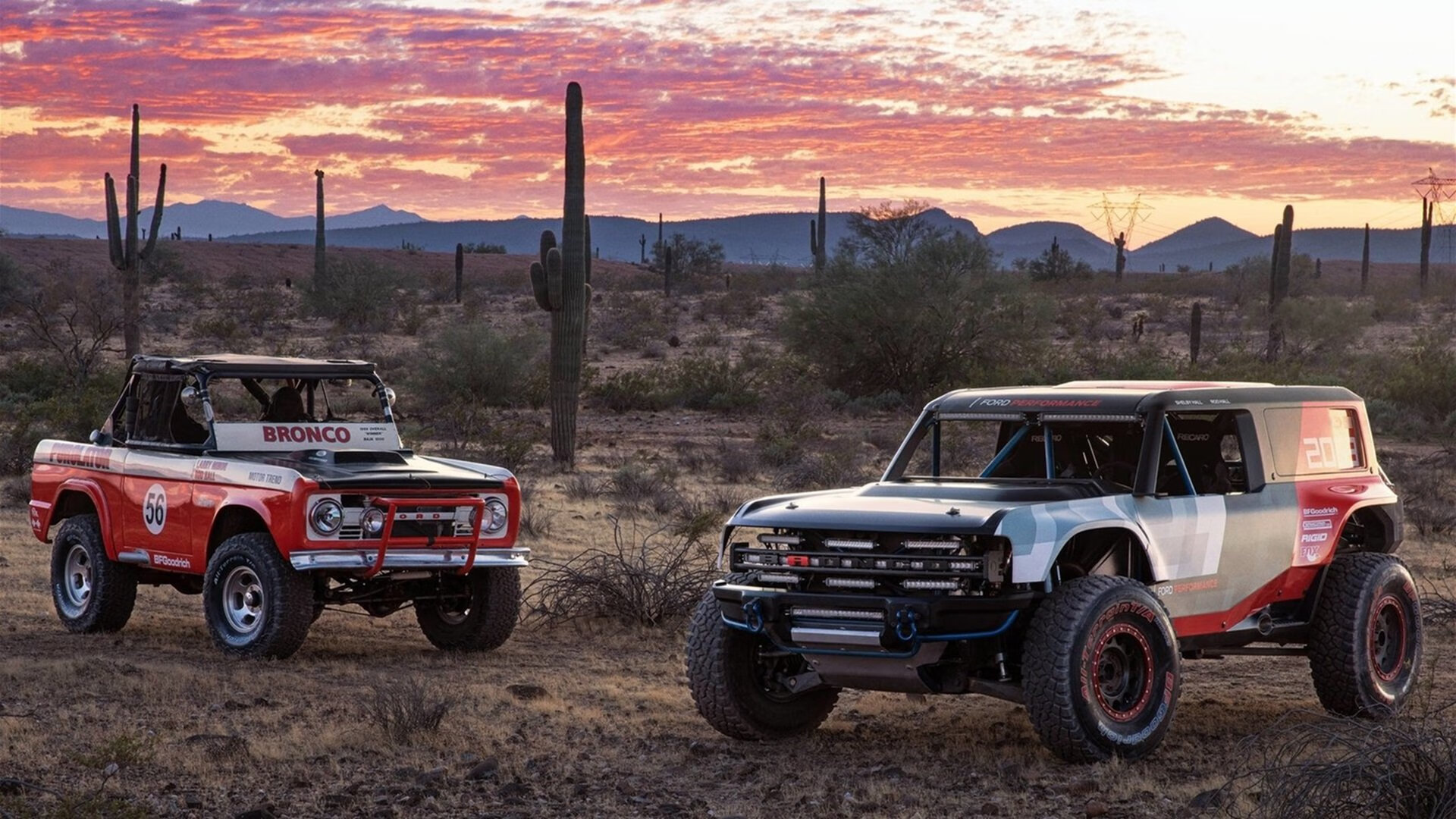 开云网页版登录入口-_骑士年轻力量崭露头角，未来可期_，骑士jr